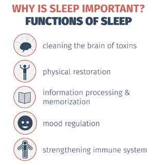 Functions of Sleep